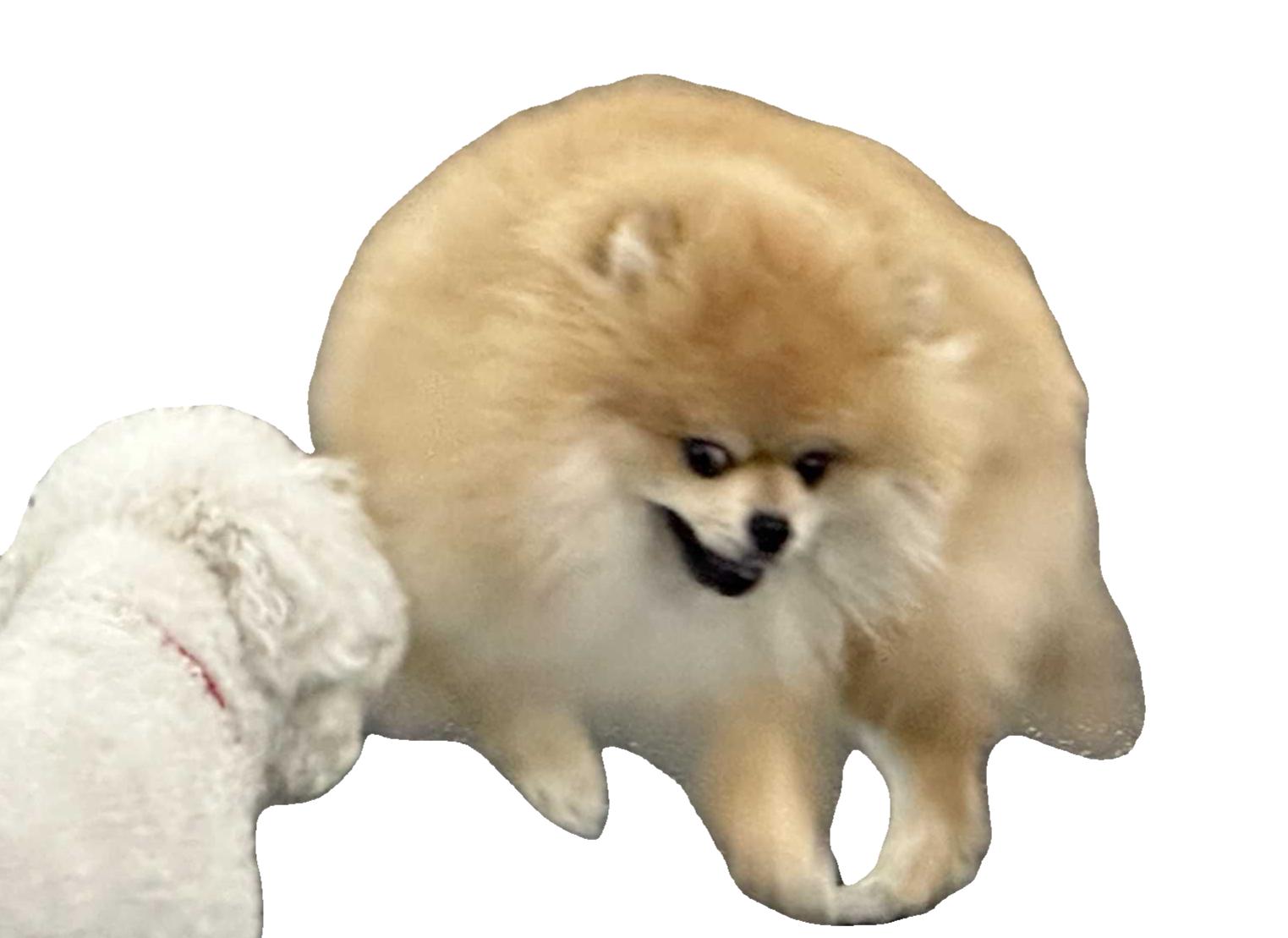 회사 로고
